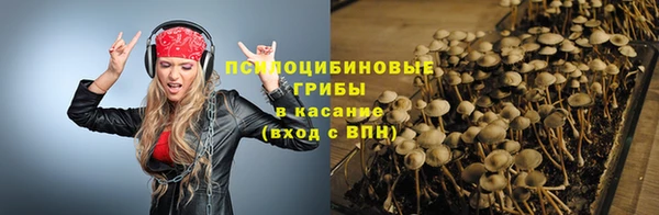 тгк Алексеевка