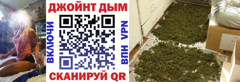 Каннабис OG Kush Алатырь
